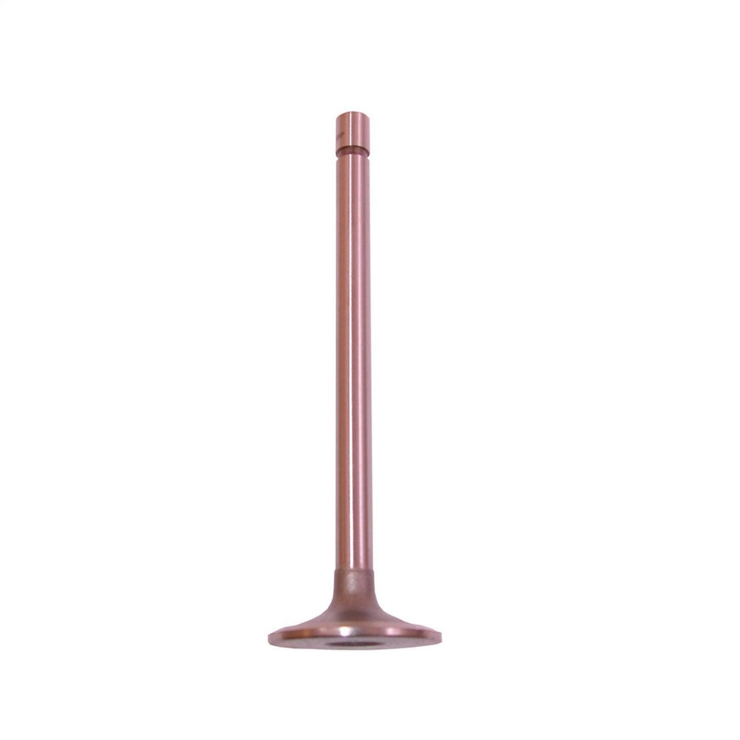 Intake Valve 1962-1963 Fc And 1954 Truck OMIX