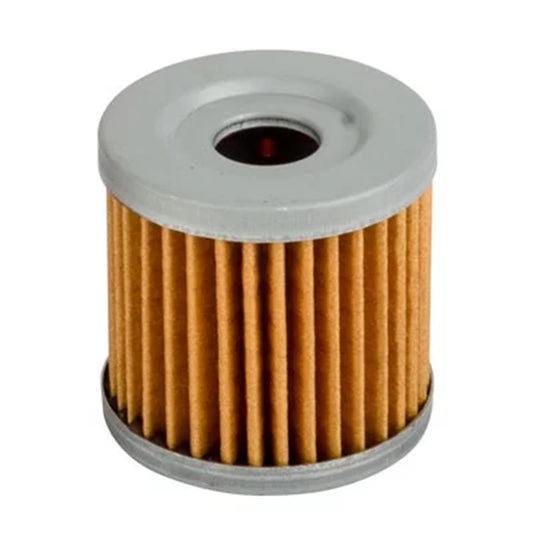 Honda High Volume Fuel Filter Element Replacement Filter for 25-200BK AEM Electronics-1