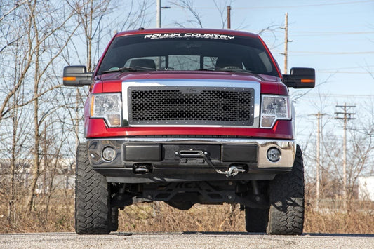Mesh Grille Ford F-150 2WD/4WD (2009-2014) Rough Country-1