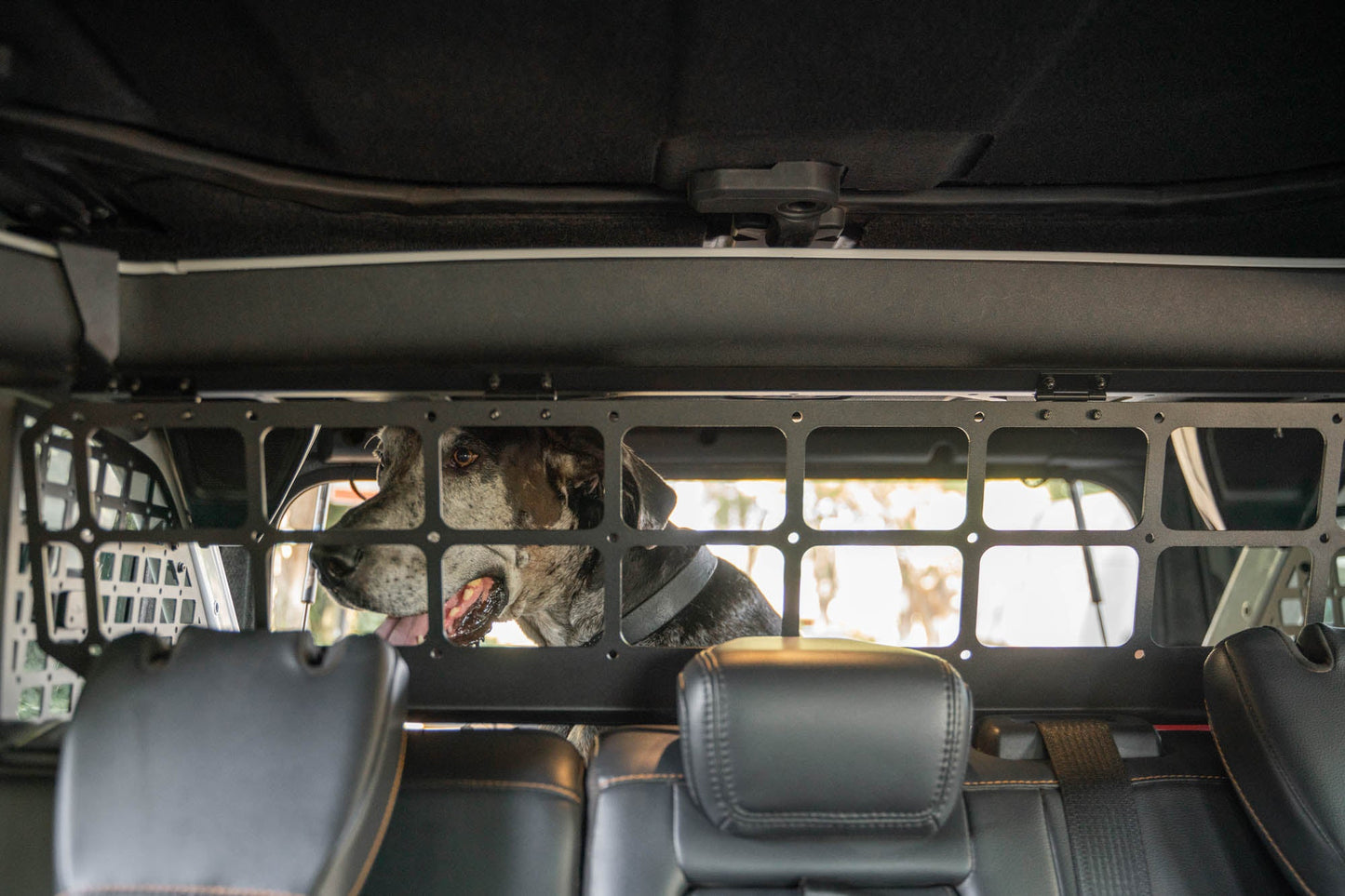 2021 2024 Ford Bronco Dog Barrier DV8 Offroad-26
