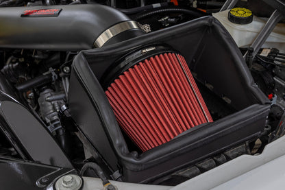 Cold Air Intake Kit 5.0L Ford F-150 2WD/4WD (2021-2026) Rough Country-3