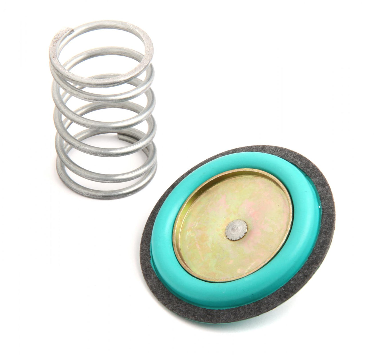 Regulator Rebuild Kit Fits 12-843 Fuel Pressure Regulators Holley