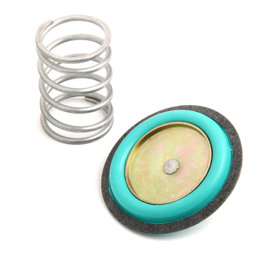 Regulator Rebuild Kit Fits 12-843 Fuel Pressure Regulators Holley