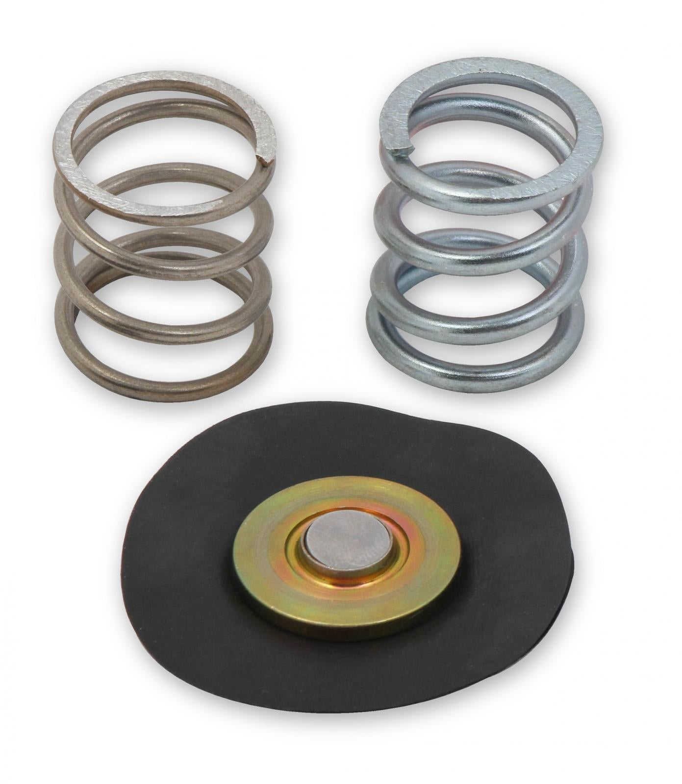 Regulator Rebuild Kit Fits 12-879 and 12-880 Fuel Pressure Regulators Holley