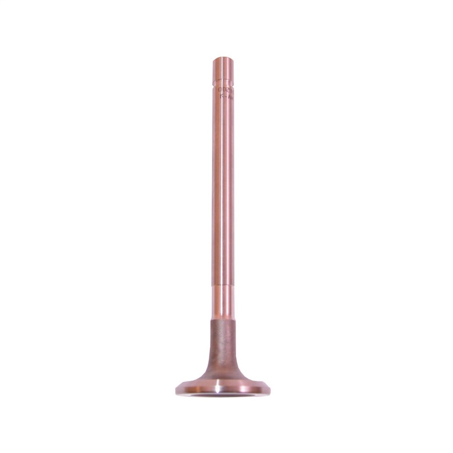 Exhaust Valve 1954-1962 Pickup / Station Wagon And 1957-1964 Fc OMIX