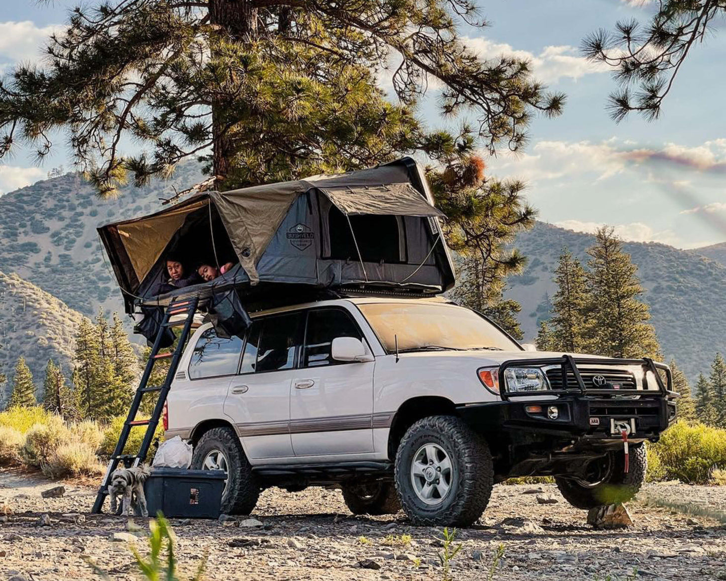 18089901 Bushveld hard shell roof top tent Overland Vehicle Systems-18
