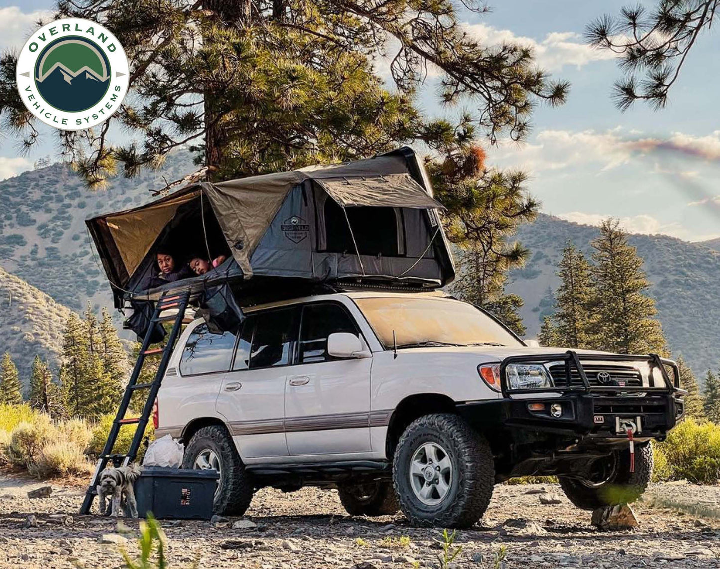 Best Hard Shell Rooftop Tent 18189901 Bushveld II Overland Vehicle Systems-1