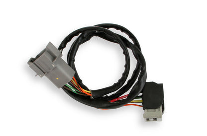 Sensor 2, Replacement Harness For Part Number 7766 Replacment Wiring Harness For Sensor 2 Of The Ntk Wide Band O2 Module Part Number 7766 MSD Ignition