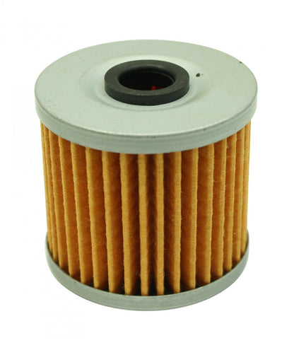 Honda High Volume Fuel Filter Element Replacement Filter for 25-200BK AEM Electronics-2