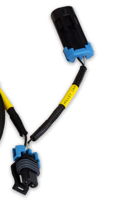 CD-5/7 to Holley Dominator/HP Harness CD-5/7 Plug and Play Harness to adapt Holley Dominator or HP EFI AEM Electronics-3