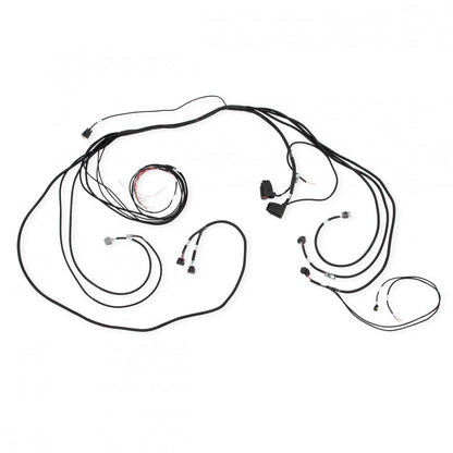 Front Low Voltage VCU300 Harness Low Voltage Harness Assembly AEM Electronics