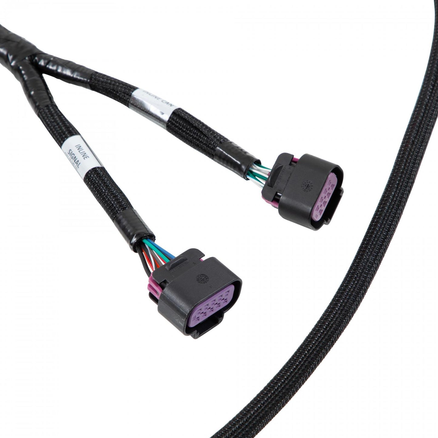 Front Low Voltage VCU275 Harness Low Voltage Harness Assembly AEM Electronics-1