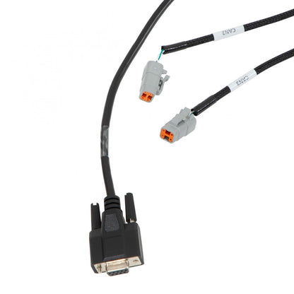 Front Low Voltage VCU275 Harness Low Voltage Harness Assembly AEM Electronics-3