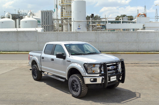 3000 Series StepGuard with Brush Guards Black Powder Coat 2017-2022 Ford F-250/F-350 Go Rhino