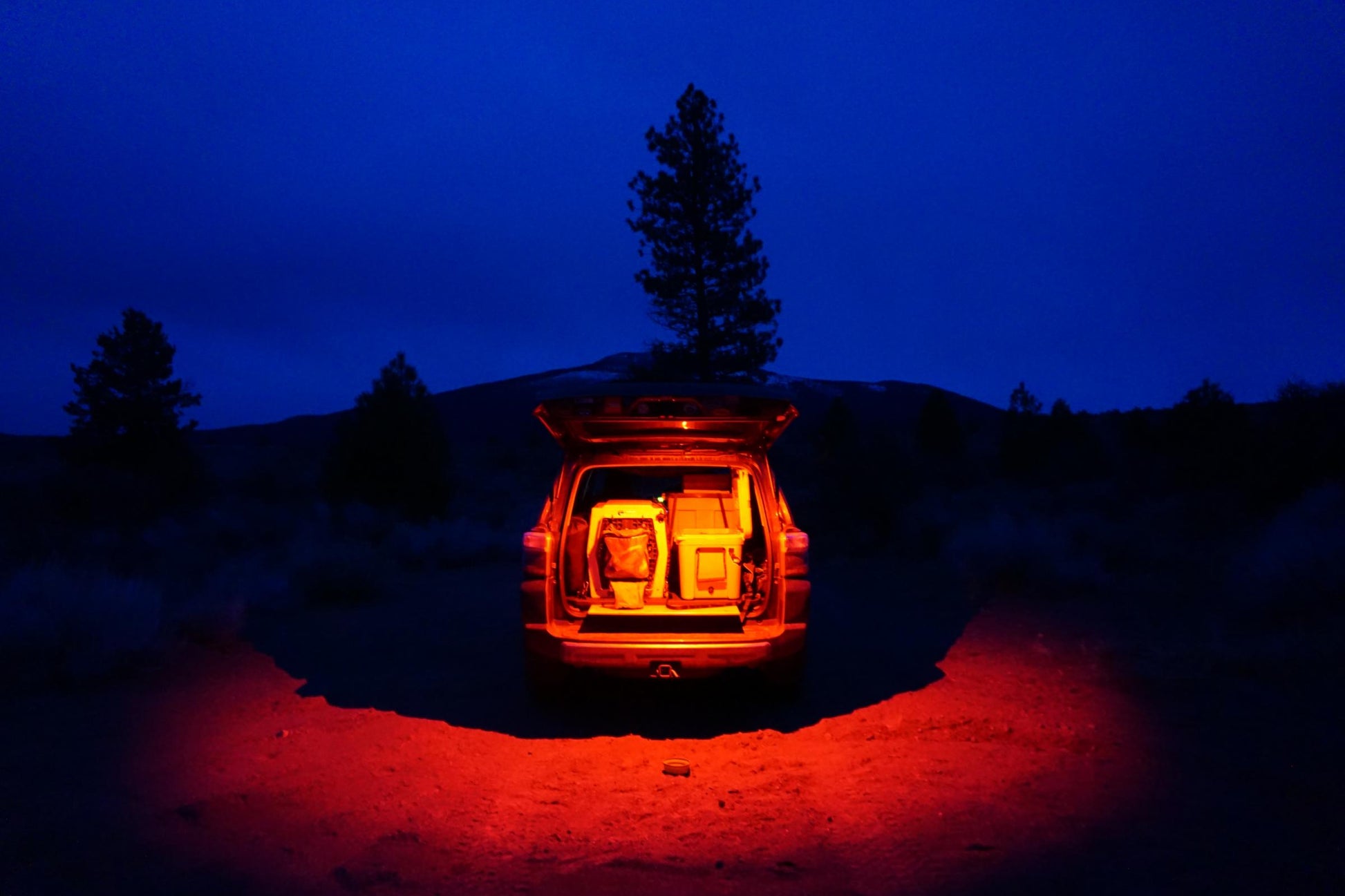 LED Dome Light w/Switch Baja Designs-9