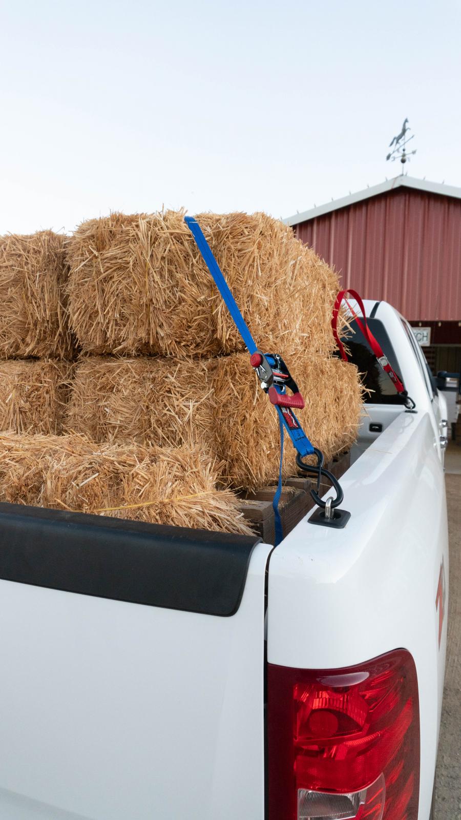 Raised Fit Retractable Tie-Down Anchors '98-14 Ford F150 and '98-16 Ford F-250/F-350 Super Duty '99-13 Silverado/Sierra 1500/2500/3500 95+ Dodge RAM 1500/2500/3500 Dually Bullring SpeedStrap-7