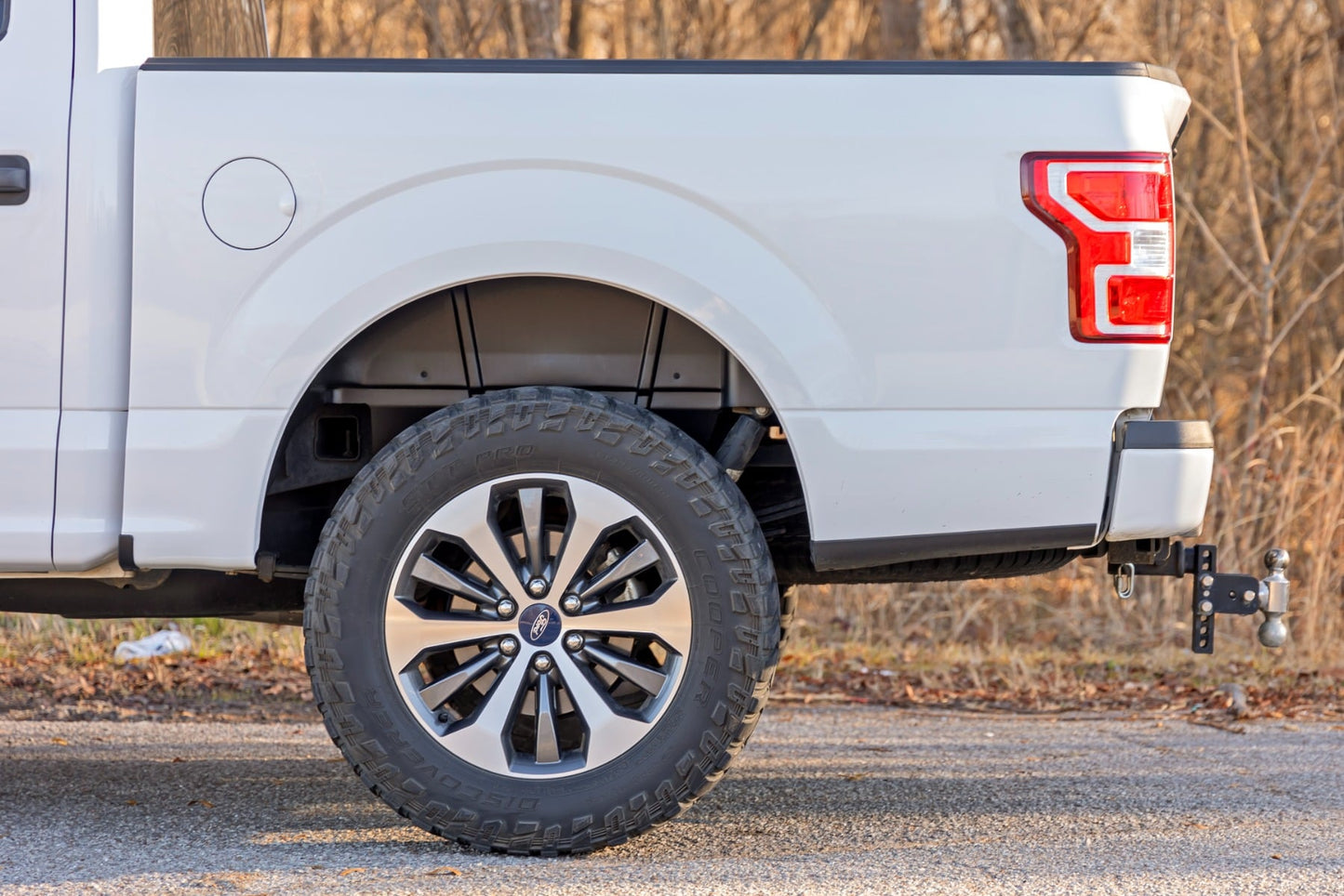 Rear Wheel Well Liners Ford F-150 2WD/4WD (2015-2020) Rough Country-5