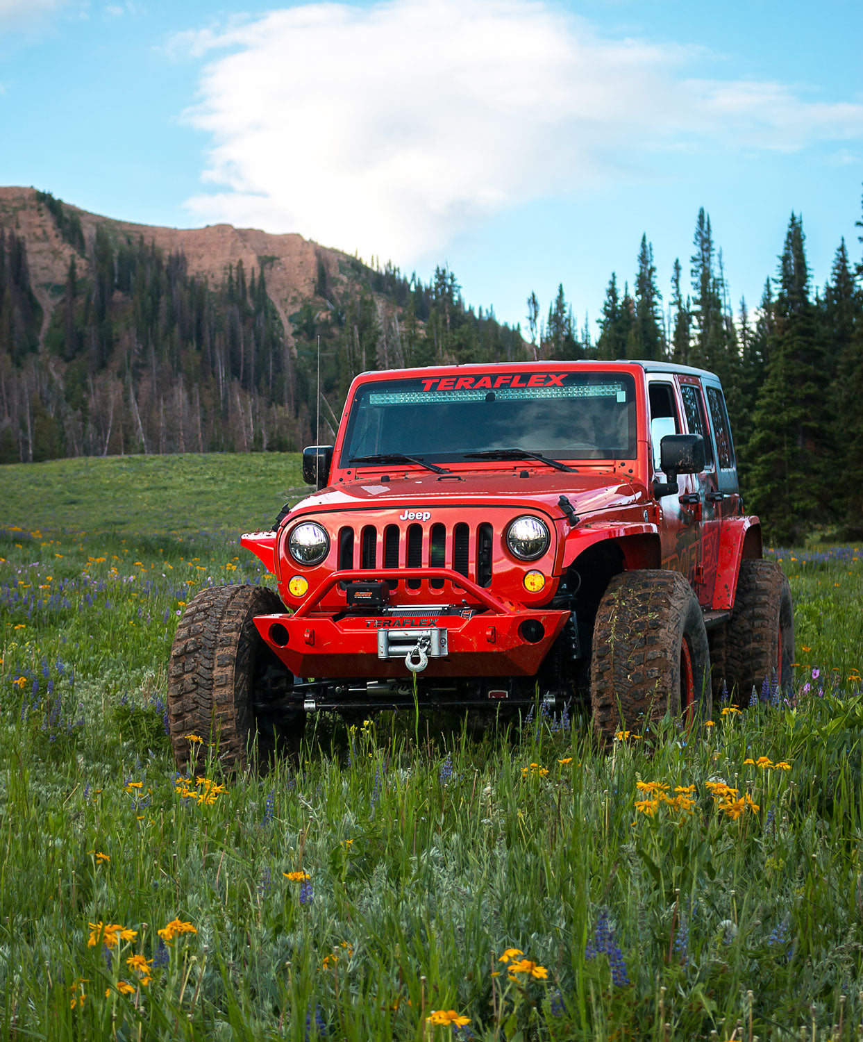 07-18 Wrangler JK RockGuard Epic Front Bumper w/ Hoop Offset Drum Winch TeraFlex-2