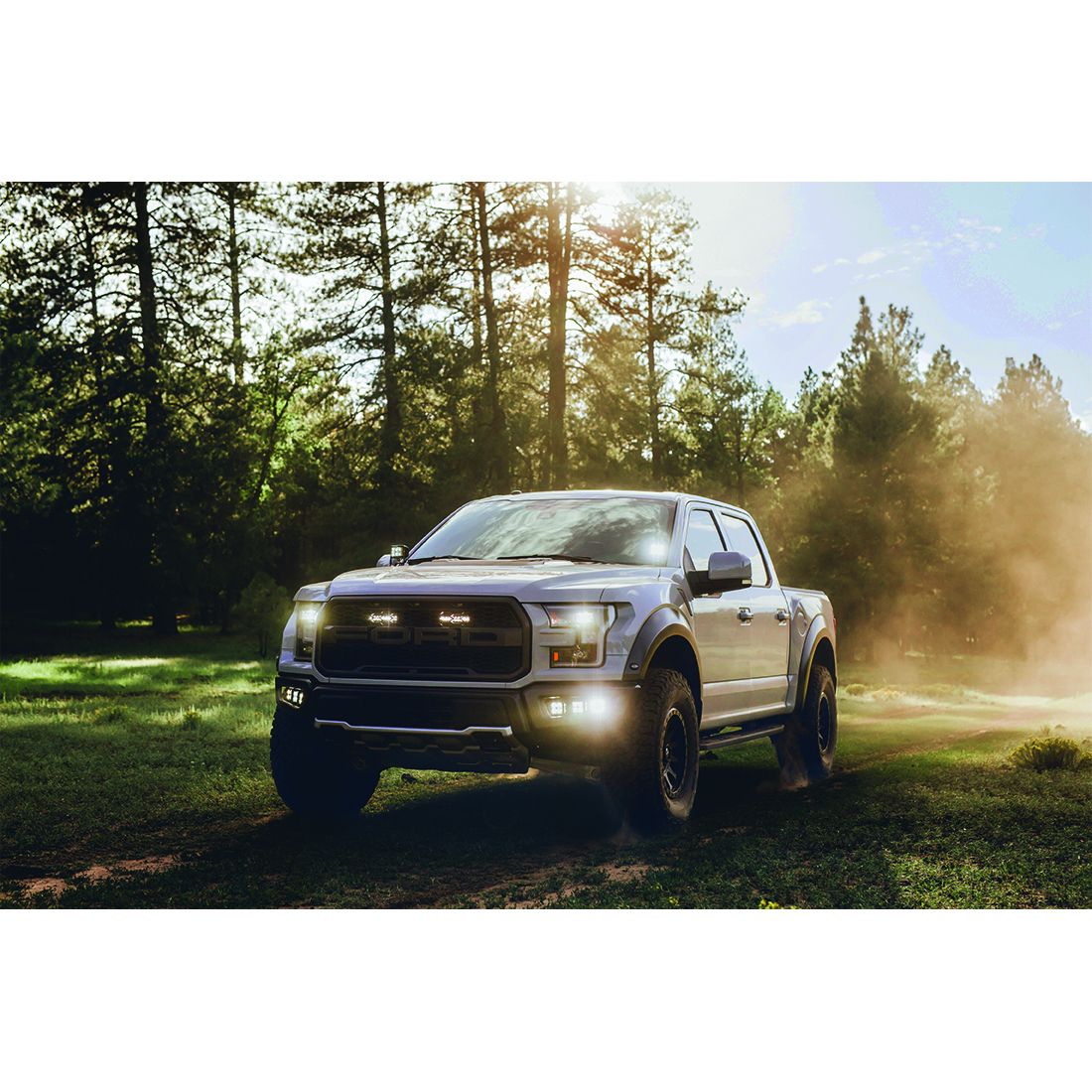 Diffused Surface Mount D-Series Pro Rigid Industries-1