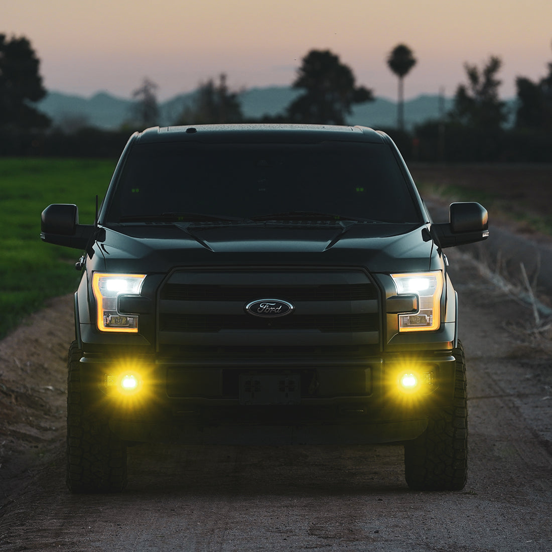 D-Series SAE Fog Yellow/White Pair Rigid Industries-6