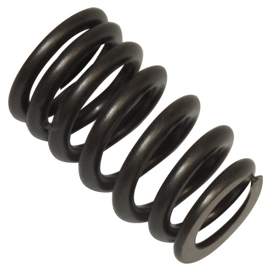 Intake or Exhaust Valve Spring for 99-07 Jeep Grand Cherokee & Commander w/ 4.7L Crown Automotive