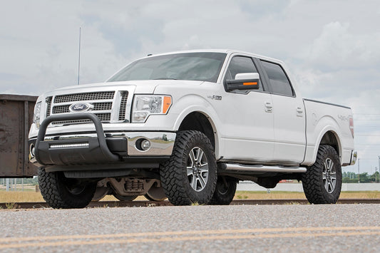 3 Inch Lift Kit M1 Struts Ford F-150 4WD (2009-2013) Rough Country-1