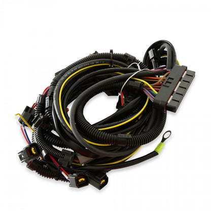 Ford Modular Controller For 4.6L/5.4L Allows You To Run A Carb On Your Late Model 4.6/5.4 Ford As Well As Add Timing Controls MSD Ignition-1