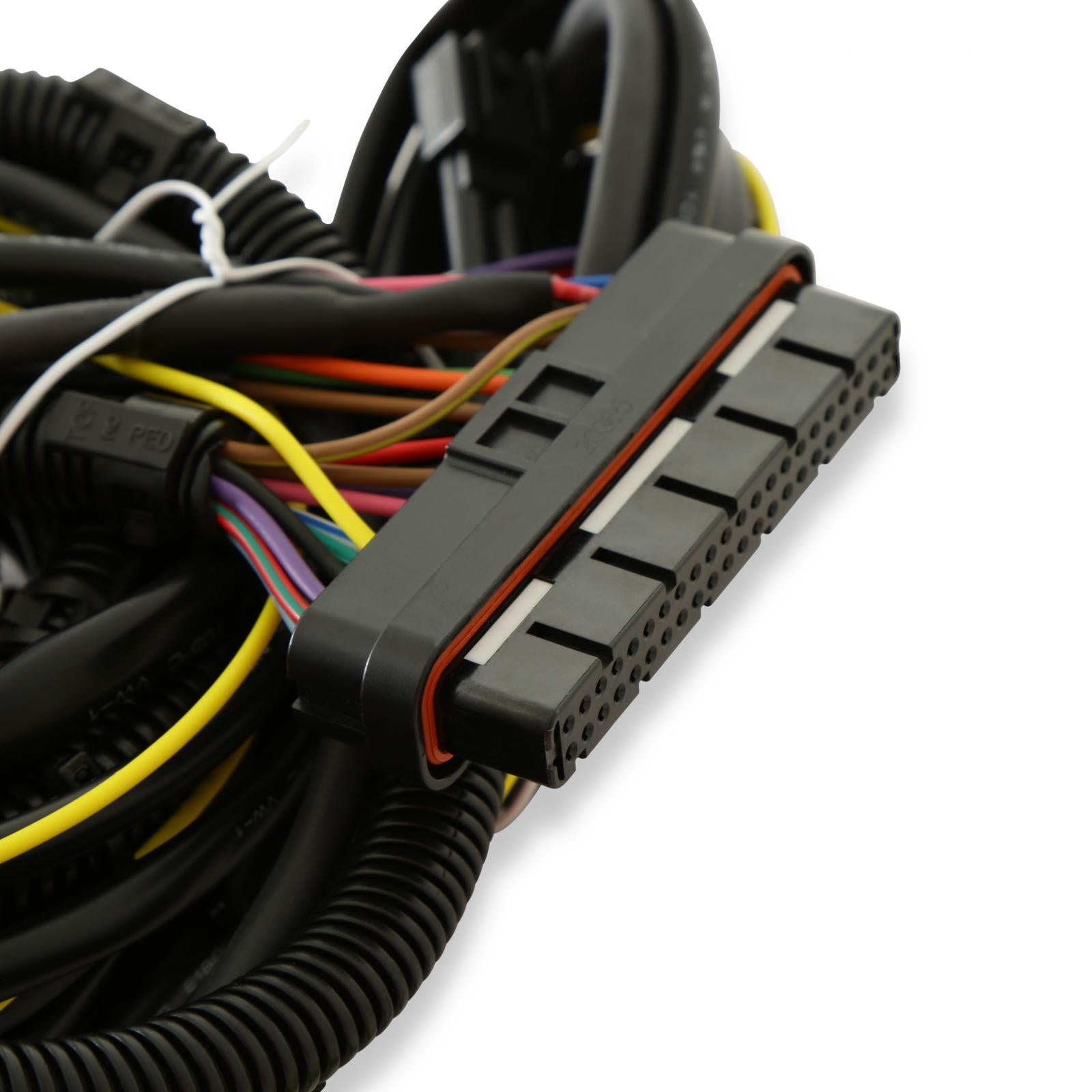 Ford Modular Controller For 4.6L/5.4L Allows You To Run A Carb On Your Late Model 4.6/5.4 Ford As Well As Add Timing Controls MSD Ignition-2