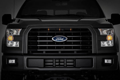 LED Marker Kit 15-17 Ford F-150 Rough Country-1
