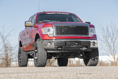 Mesh Grille Ford F-150 2WD/4WD (2009-2014) Rough Country-2