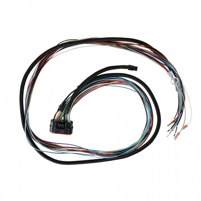 Ultra 7Al For Racers That Need Serious Spark Output, The Ultra 7Al Is The Right Choice. Offering High Voltage With Four Step Retards, Three Rev Limits, And Two Rpm Switch Outputs, The New 7Al Checks All The Boxes MSD Ignition-5