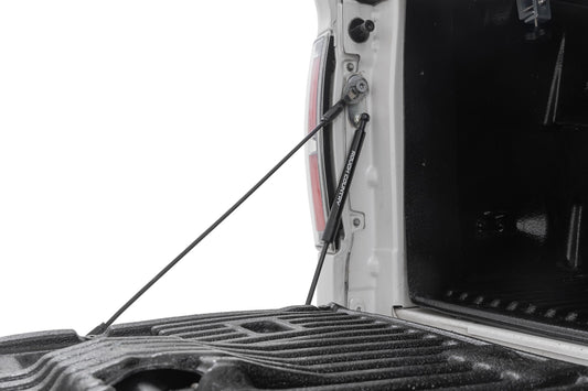 Tailgate Assist Ford F-150 2WD/4WD (2004-2014) Rough Country