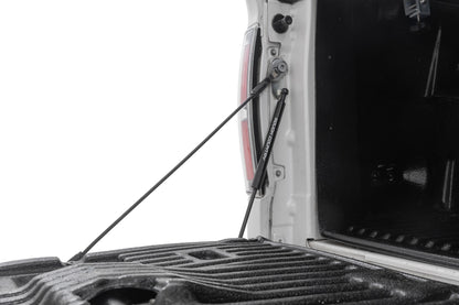 Tailgate Assist Ford F-150 2WD/4WD (2004-2014) Rough Country
