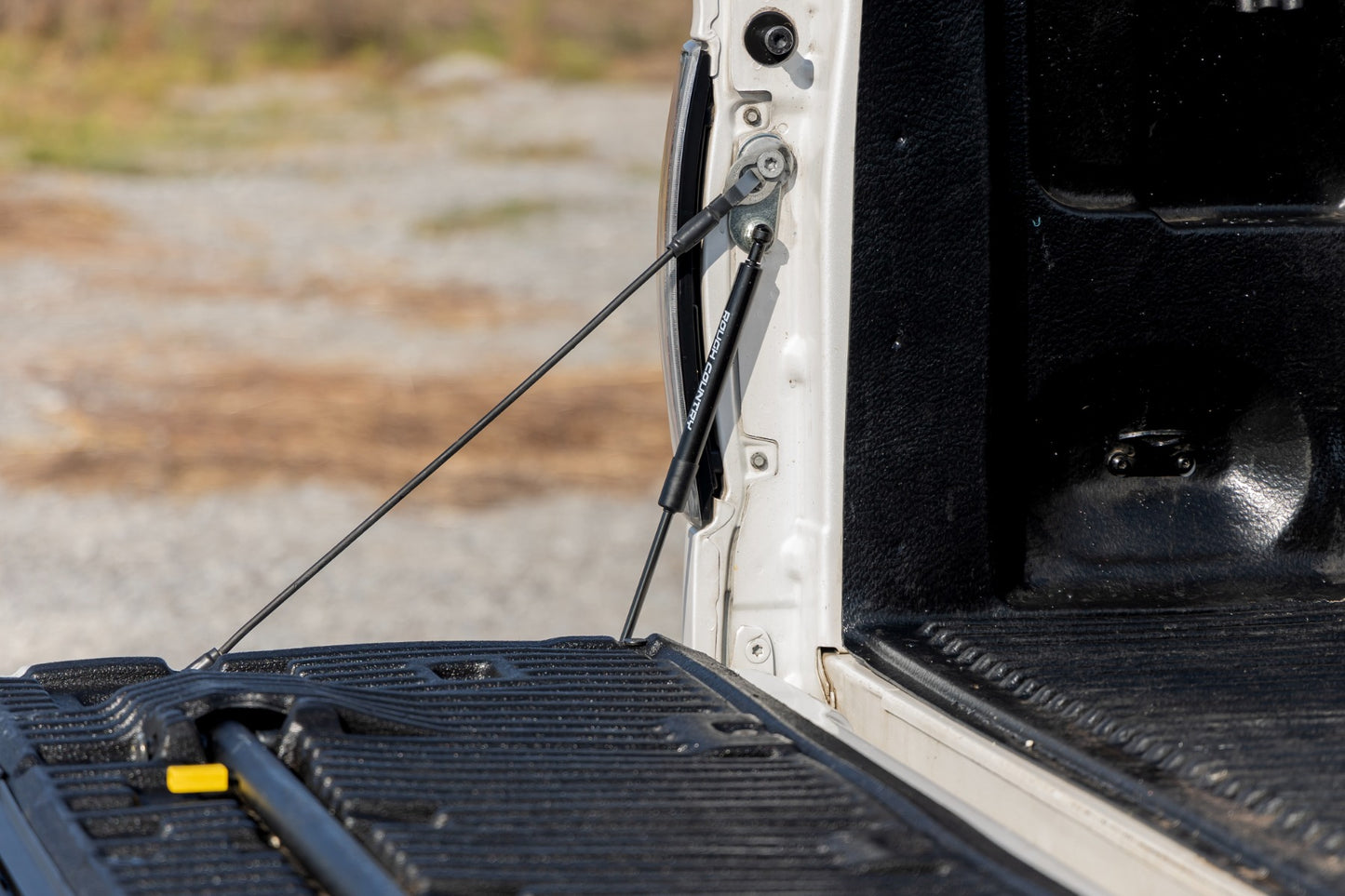 Tailgate Assist Ford F-150 2WD/4WD (2004-2014) Rough Country-4