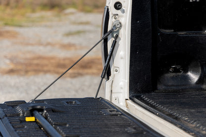 Tailgate Assist Ford F-150 2WD/4WD (2004-2014) Rough Country-4