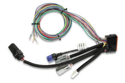 Power Grid System Controller Only Universal Box And Laptop Required MSD Ignition-18
