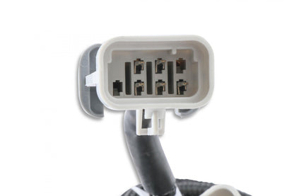 EFI And LS Harness Pro 600 Replacement Harness To Connect To EFI Systems Or LS Engines MSD Ignition-3