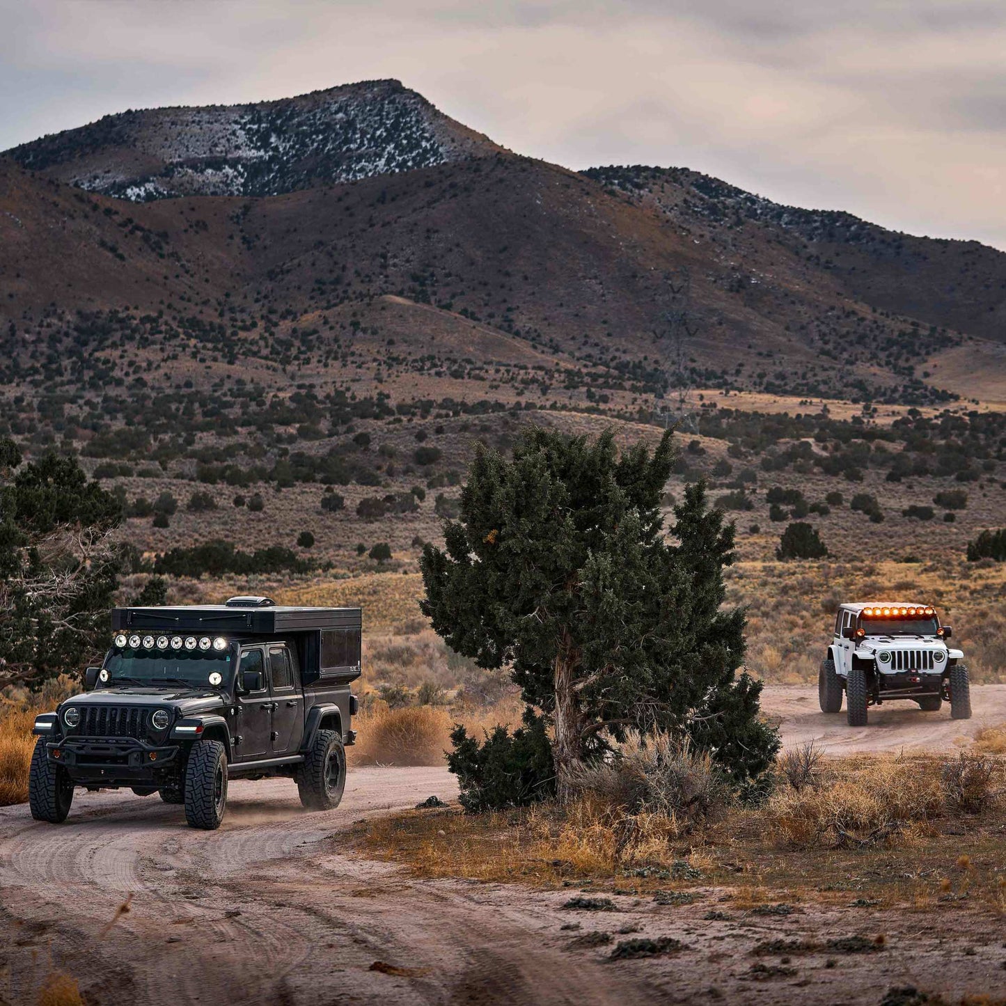 50 Inch Gravity Titan LED Light Bar 8-Lght KC Hilites-13