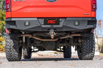 Performance Cat-Back Exhaust No Std Cab Ford F-150 2WD/4WD (2015-2020) Rough Country-3