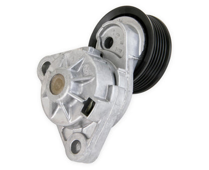 Tensioner Assembly W/ Pulley Holley-6