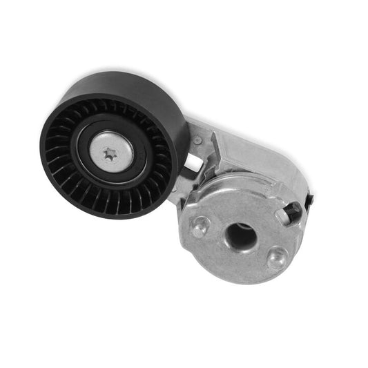 Tensioner Assembly W/ Pulley Holley