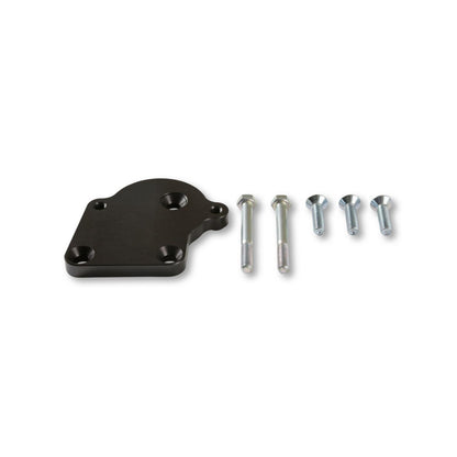 Mounting Plate for Steering Pump Car Applications Replacement Mounting Plate for Power Steering Pump 198-104 for 2003-2008 5.7L & 2005-2010 6.1L Gen III Hemi Engines Holley-1