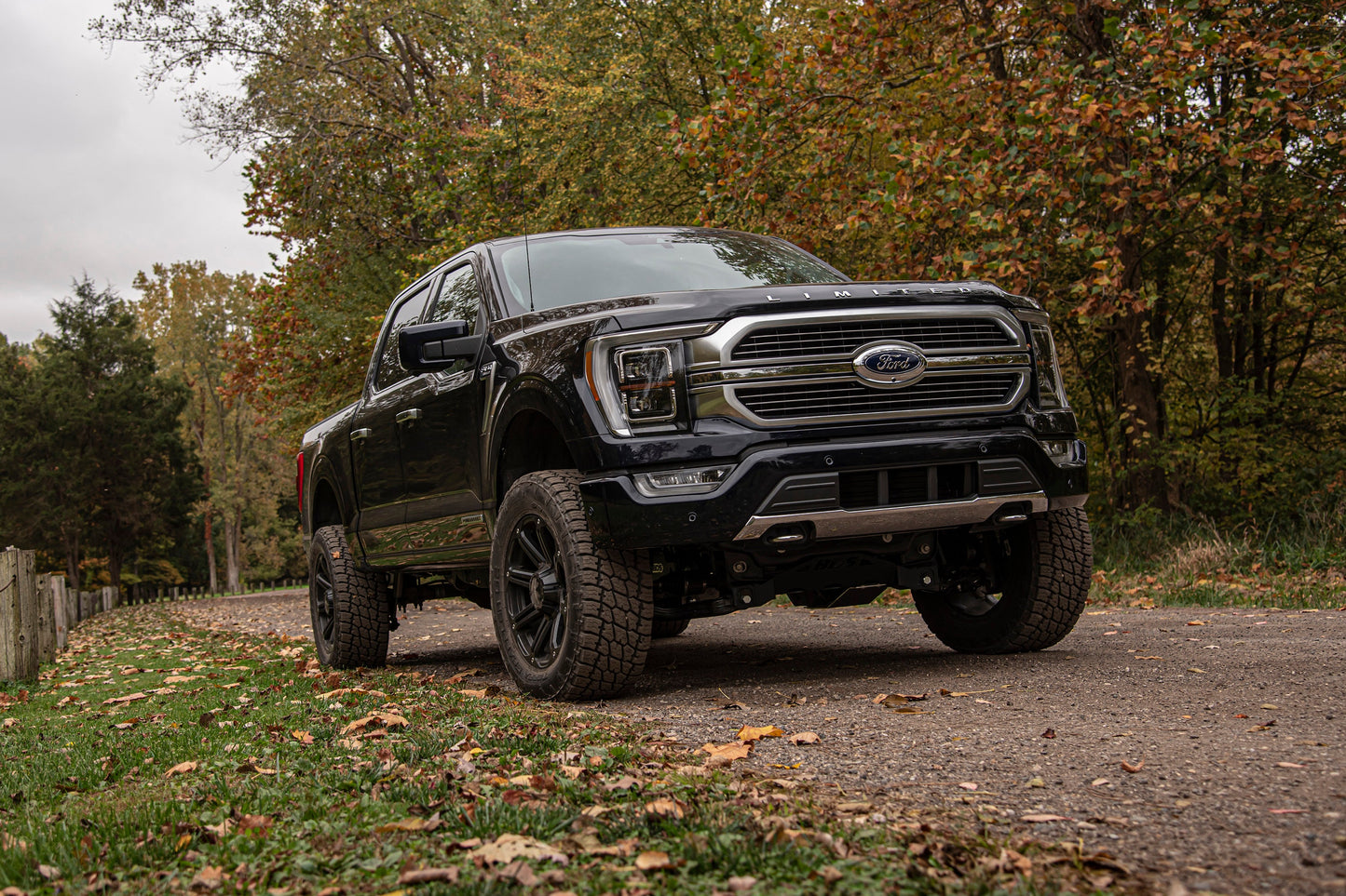 21-25 Ford F-150 4WD, 4 Inch Lift Kit, 3 Inch Rear Lift, Block - Fox 2.5 Performance Elite Series C/O, Fox 2.5 Performance Elite Series Rear Shock BDS Suspension