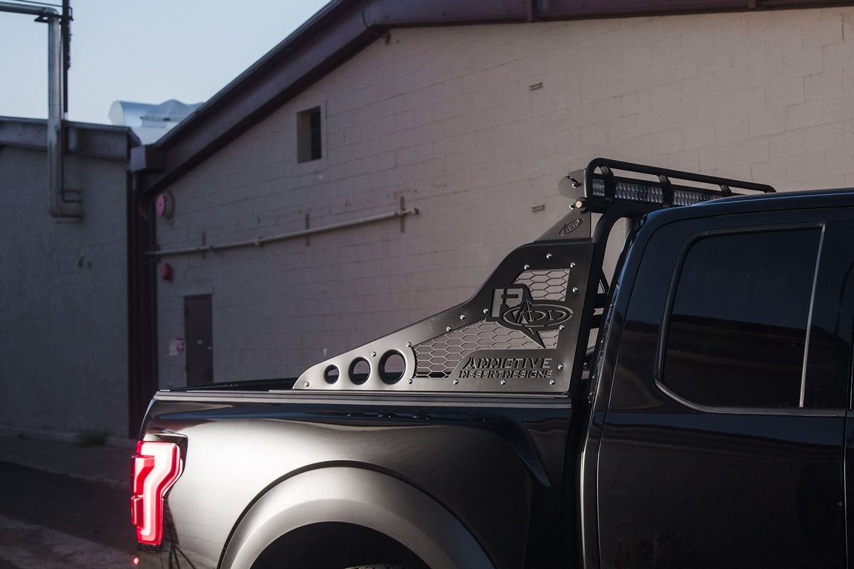 2017-2020 Ford Raptor, 2010-2014 Ford Raptor, 2004-2022 Ford F-150 Race Series Chase Rack Addictive Desert Designs-5
