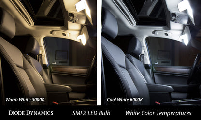 28mm SMF2 LED Bulb Red Diode Dynamics-7