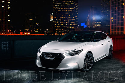 2016 Nissan Maxima SB DRL LED Boards Diode Dynamics-4