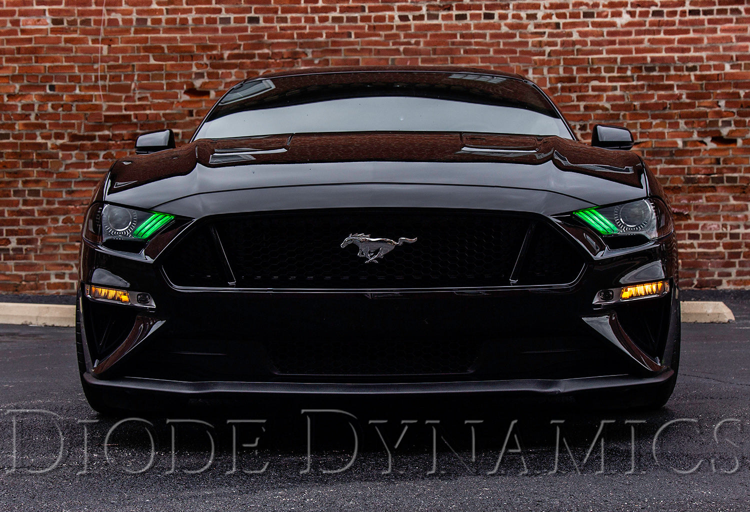 2018 Ford Mustang RGBWA DRL LED Boards Diode Dynamics-2