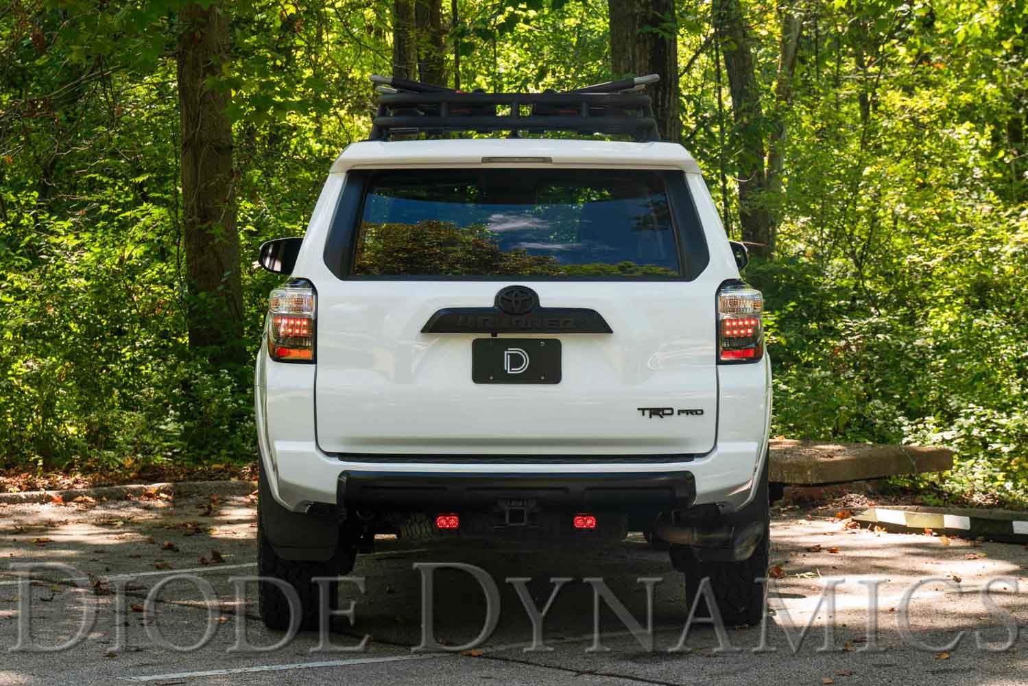 Diode Dynamics Stage Series Reverse Light Kit for 2010-2021 Toyota 4Runner, C2 Sport Diode Dynamics