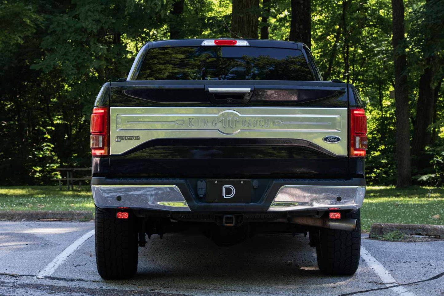Diode Dynamics Stage Series Reverse Light Kit for 2015-2020 Ford F-150, C1 Pro Diode Dynamics