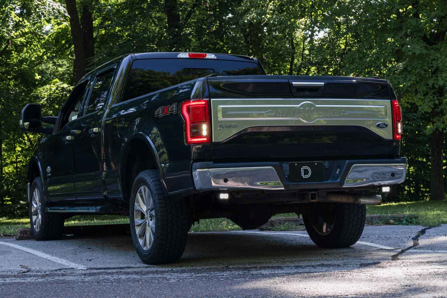 Diode Dynamics Stage Series Reverse Light Kit for 2015-2020 Ford F-150, C2 Pro Diode Dynamics